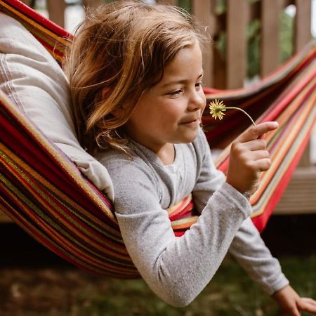 Glamping Lauwersmeer Vierhuizen Экстерьер фото